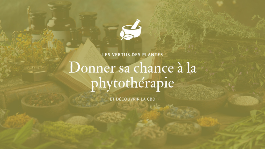 Donner sa chance à la phytothérapie