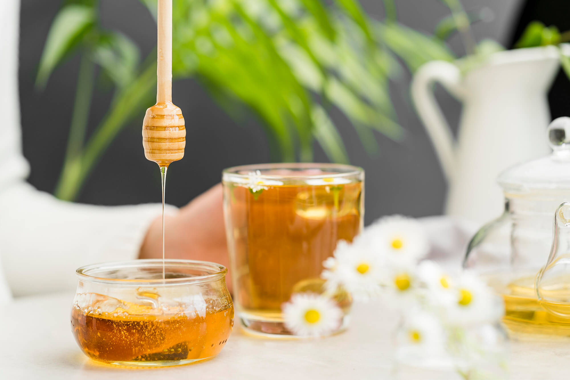 Recettes à base de miel pour protéger son organisme
