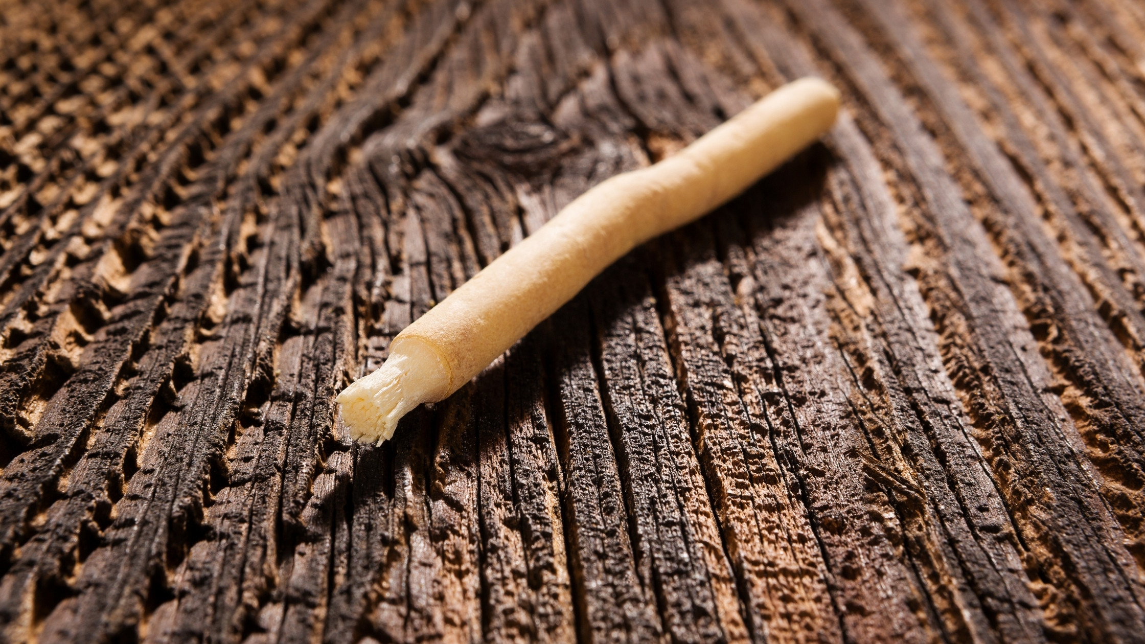 Miswak ou brosse à dents, lequel choisir ?