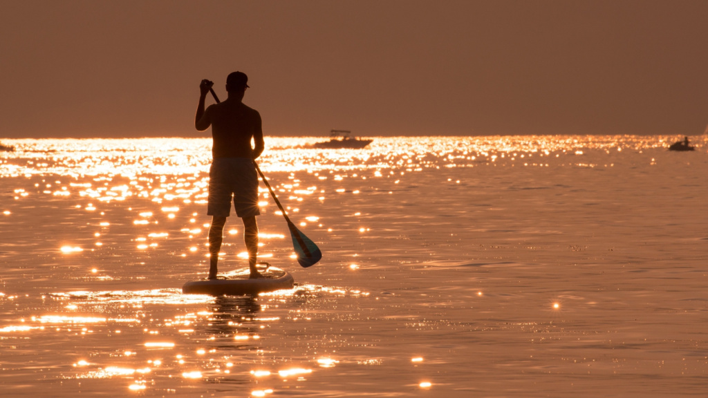 stand up paddle