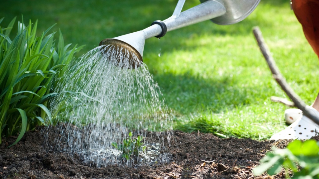 Récupérateur eau de pluie jardin