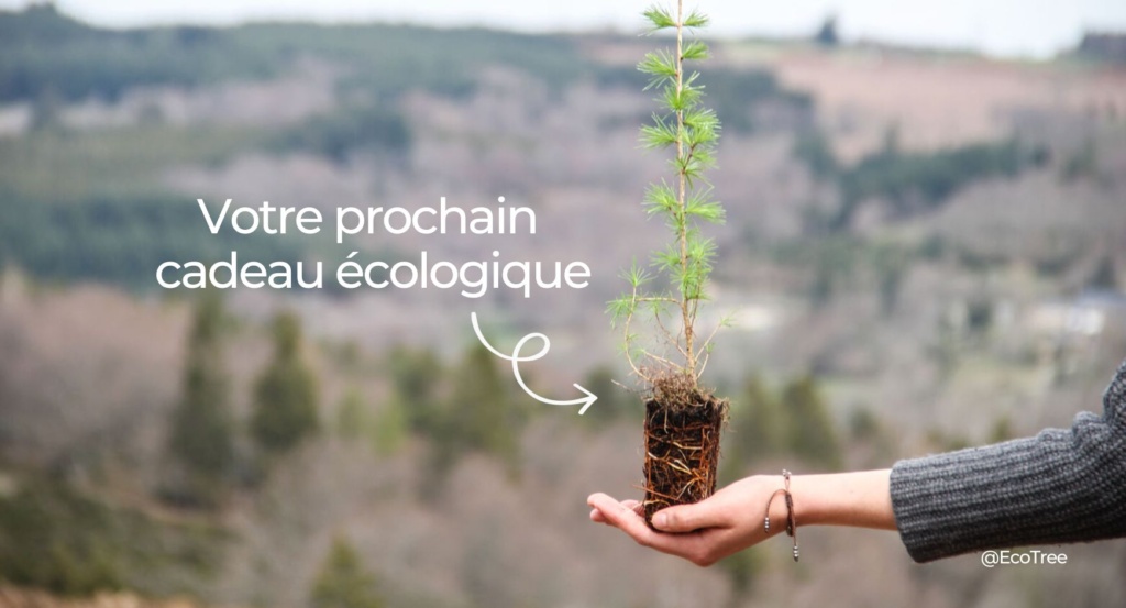 cadeau de noel ecologique