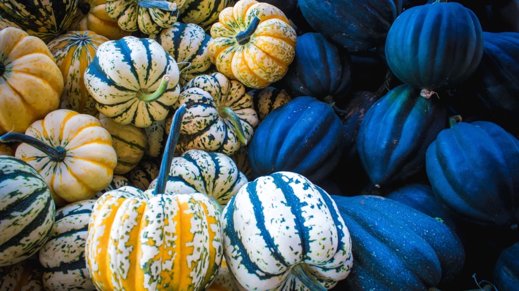 courges et legume hiver