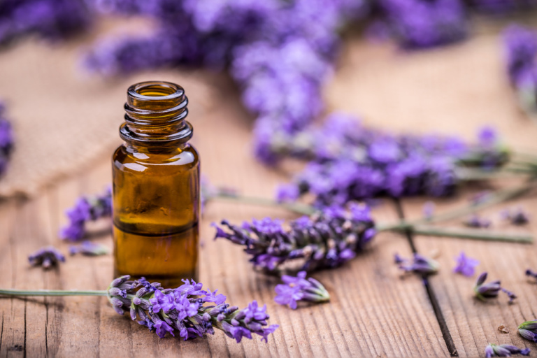 aromatherapie le guide explicatif